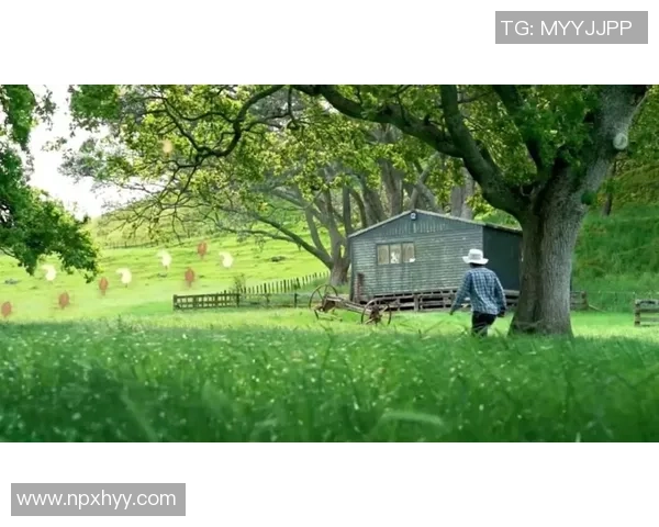 中国最新足球国家队球星名单公布 新老结合展现未来潜力